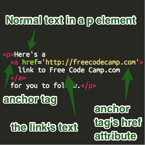 a diagram of how anchor tags are composed with the same text as on the following line